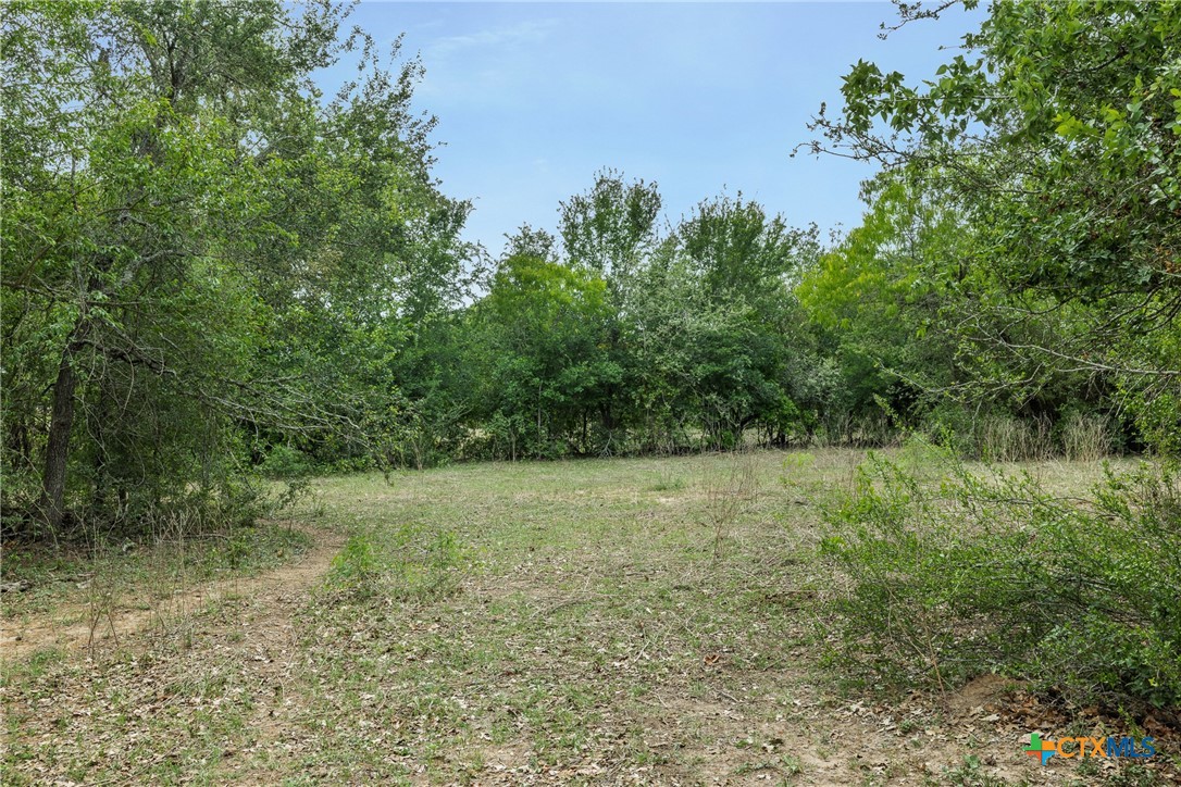9765 State Park Road, Lockhart, TX, 78644 | 621663 | Realty Texas LLC