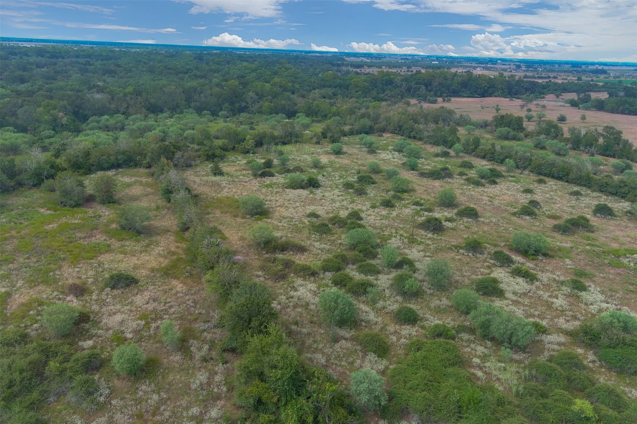 0000A BATTLE Road, Kendleton, TX, 77451 | 66997114 | Realty Texas LLC
