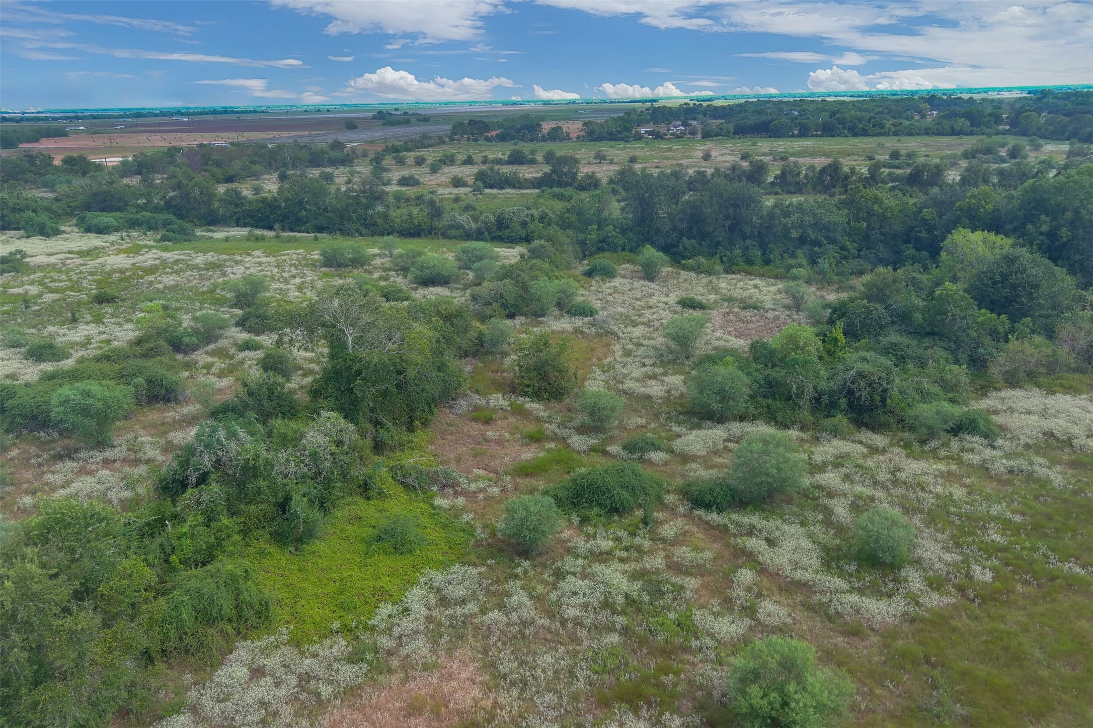 0000A BATTLE Road, Kendleton, TX, 77451 | 66997114 | Realty Texas LLC