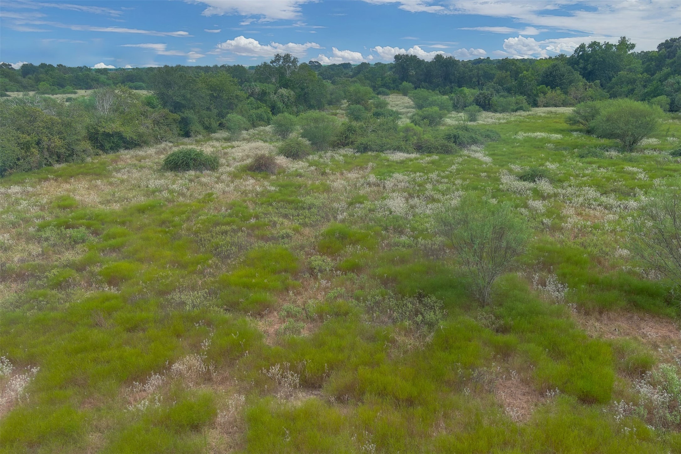 0000A BATTLE Road, Kendleton, TX, 77451 | 66997114 | Realty Texas LLC