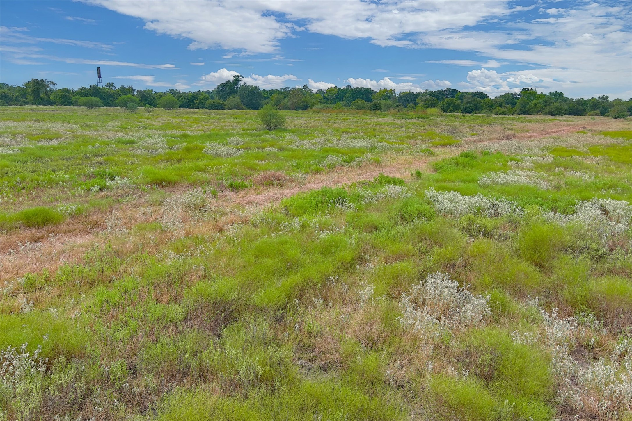 0000A BATTLE Road, Kendleton, TX, 77451 | 66997114 | Realty Texas LLC