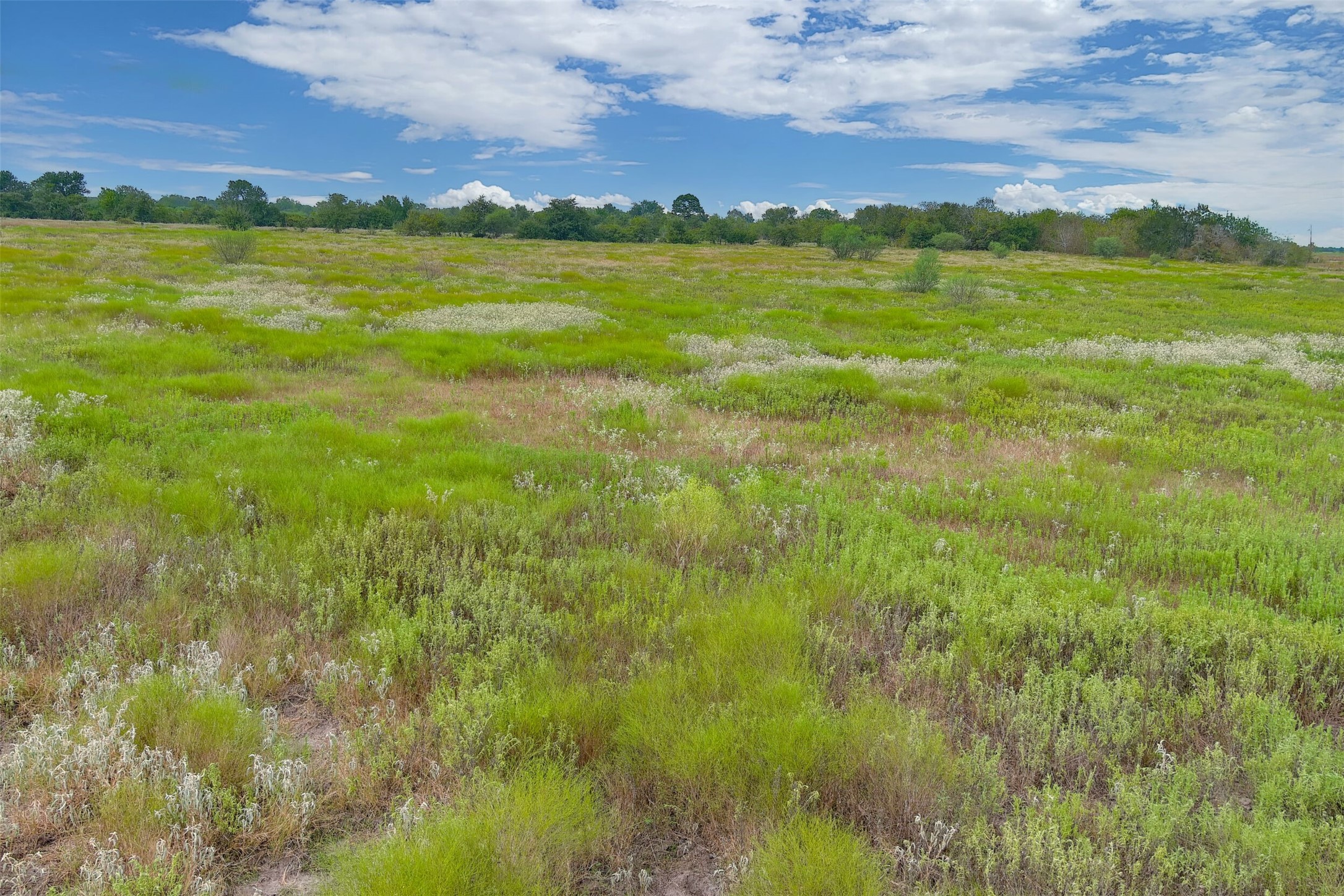 0000A BATTLE Road, Kendleton, TX, 77451 | 66997114 | Realty Texas LLC