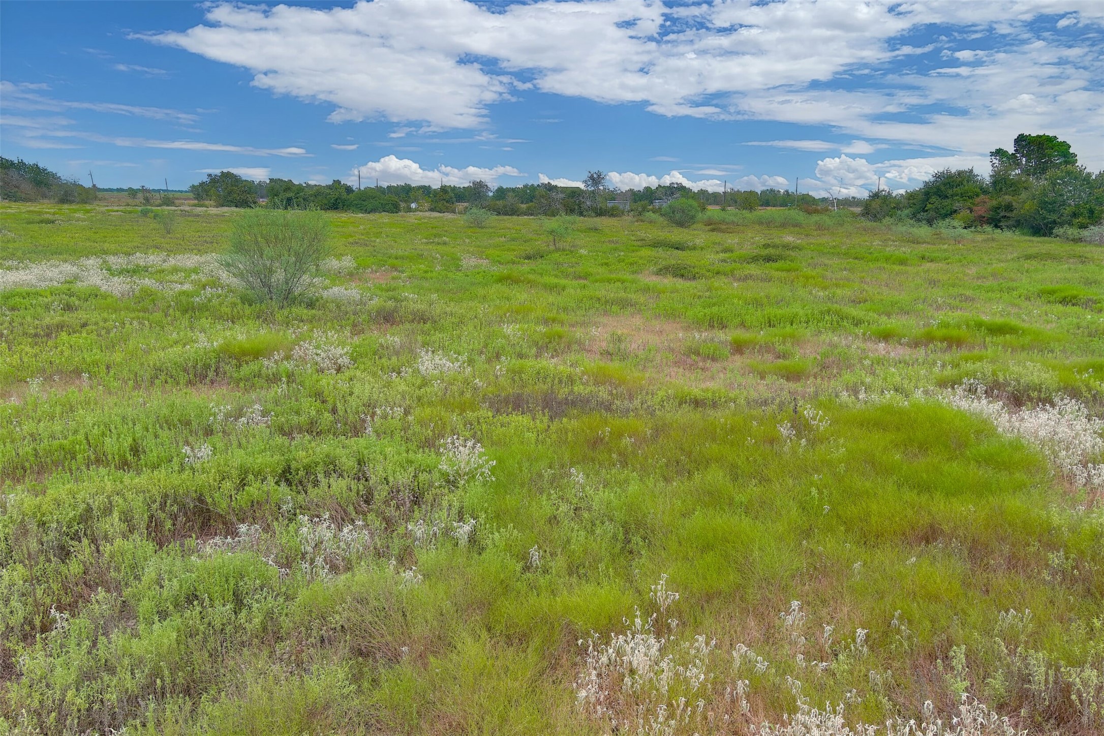0000A BATTLE Road, Kendleton, TX, 77451 | 66997114 | Realty Texas LLC