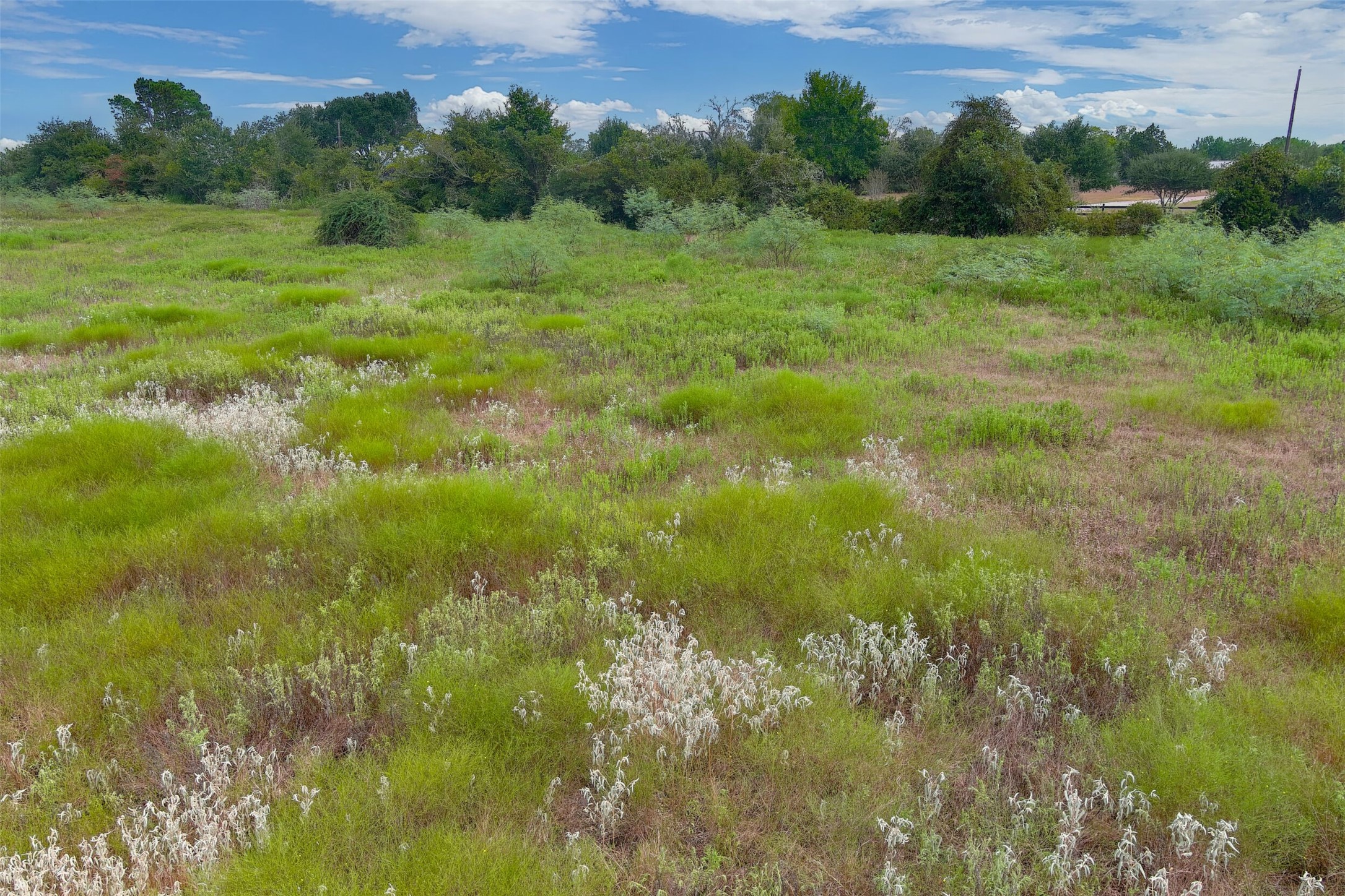0000A BATTLE Road, Kendleton, TX, 77451 | 66997114 | Realty Texas LLC