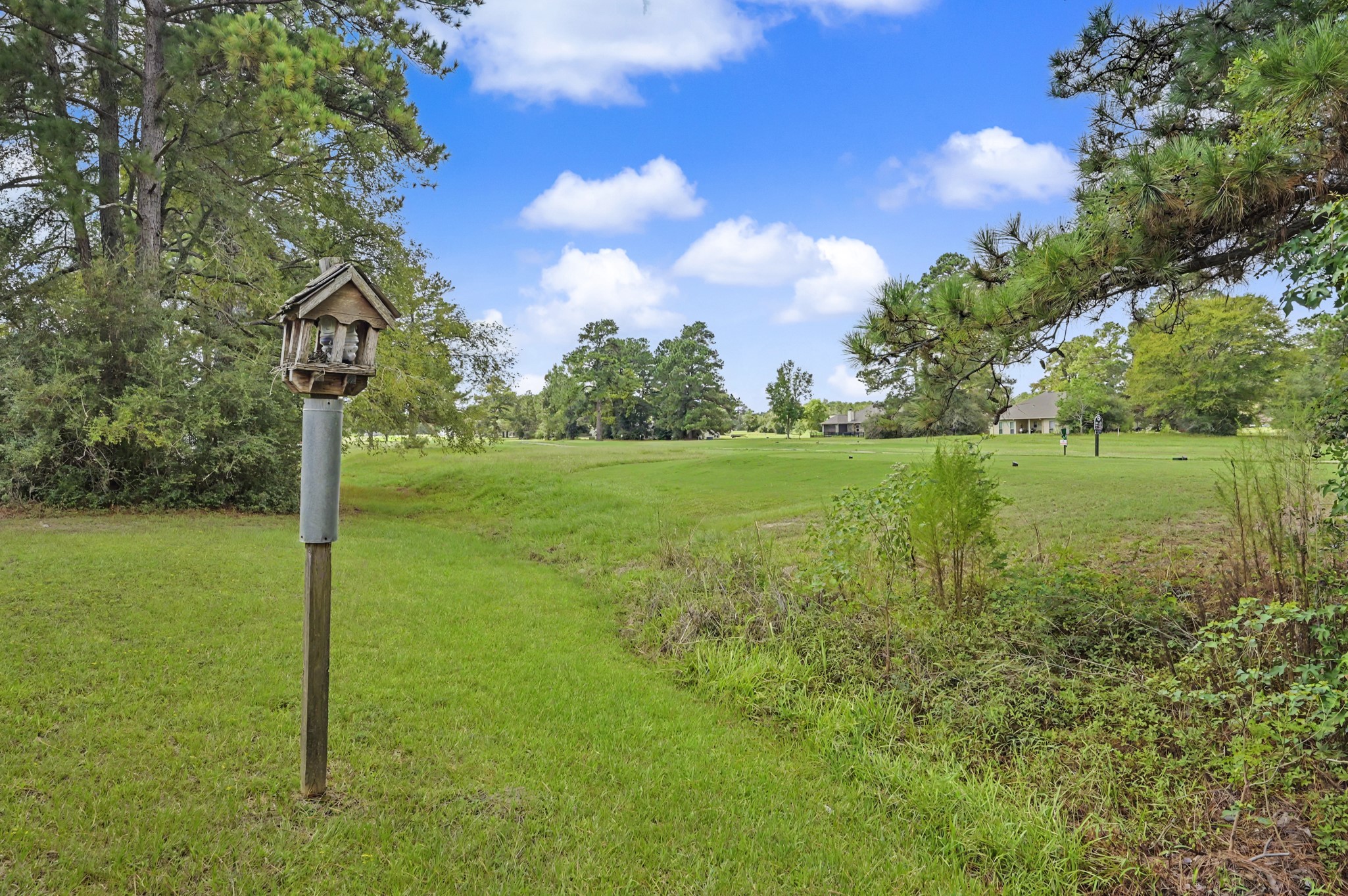 20 Shallow Springs, Trinity, TX, 75862 | 91963793 | Realty Texas LLC