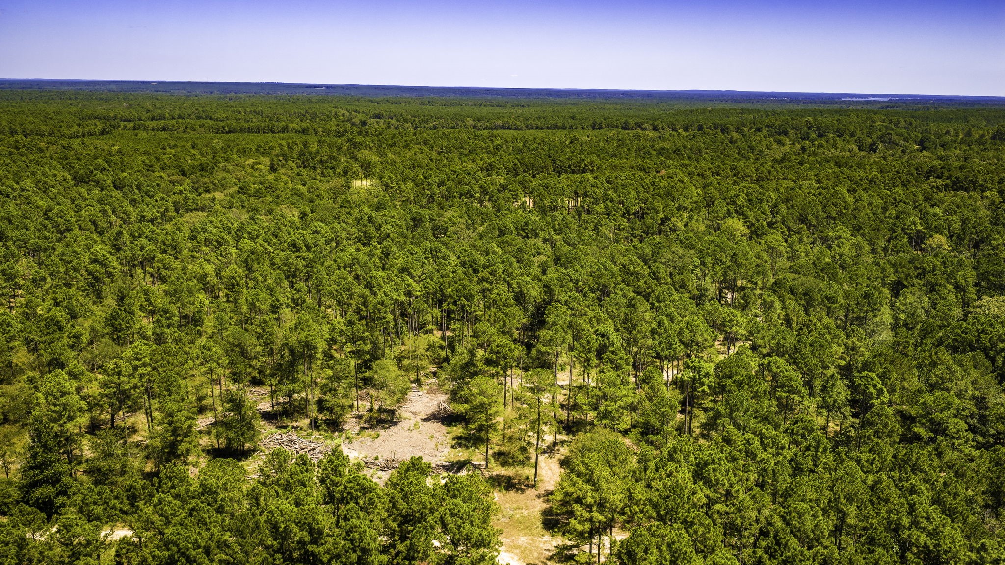 TBD E Lakeview Drive, Trinity, TX, 75862 | 56983132 | Realty Texas LLC