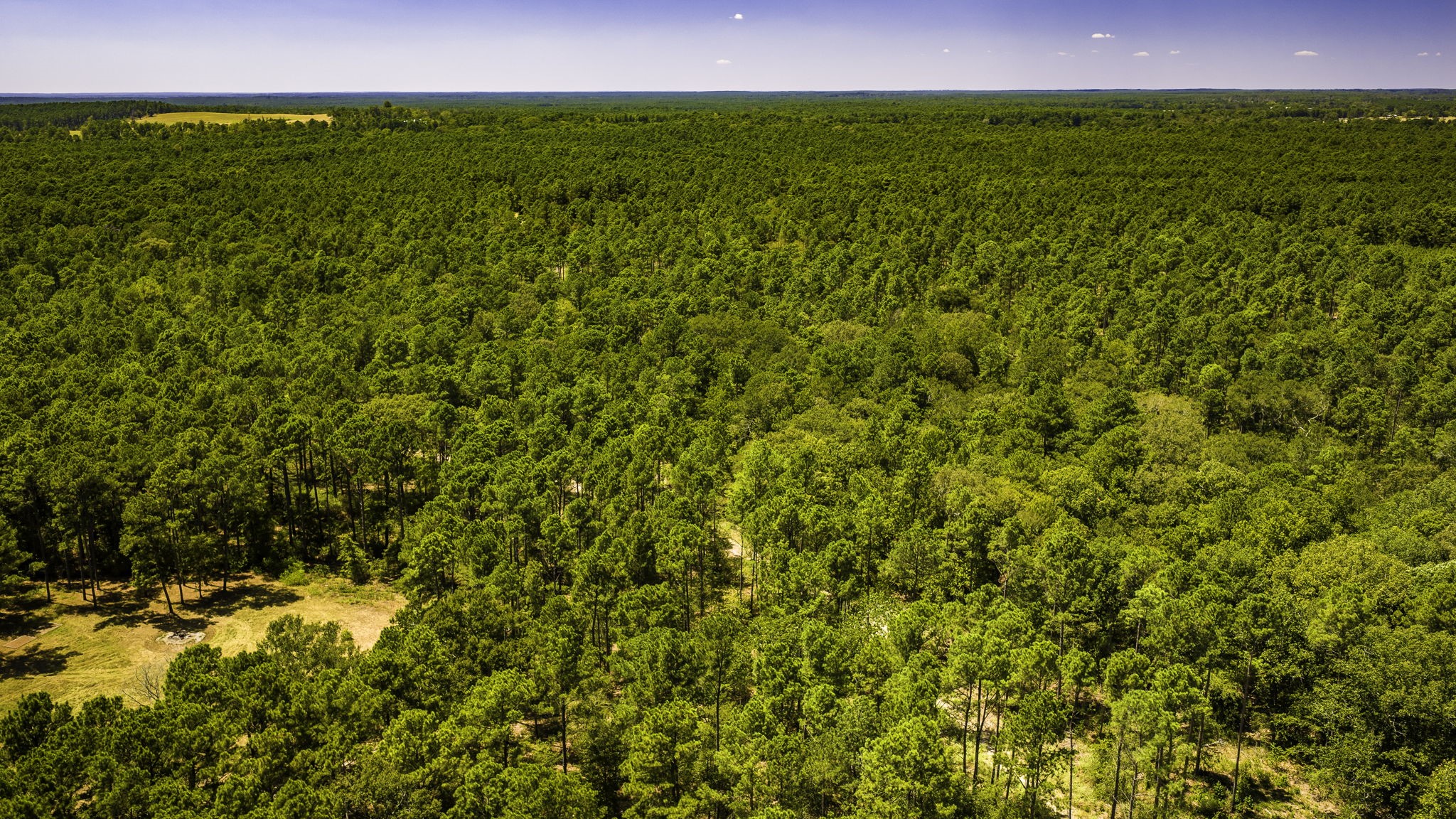TBD E Lakeview Drive, Trinity, TX, 75862 | 56983132 | Realty Texas LLC