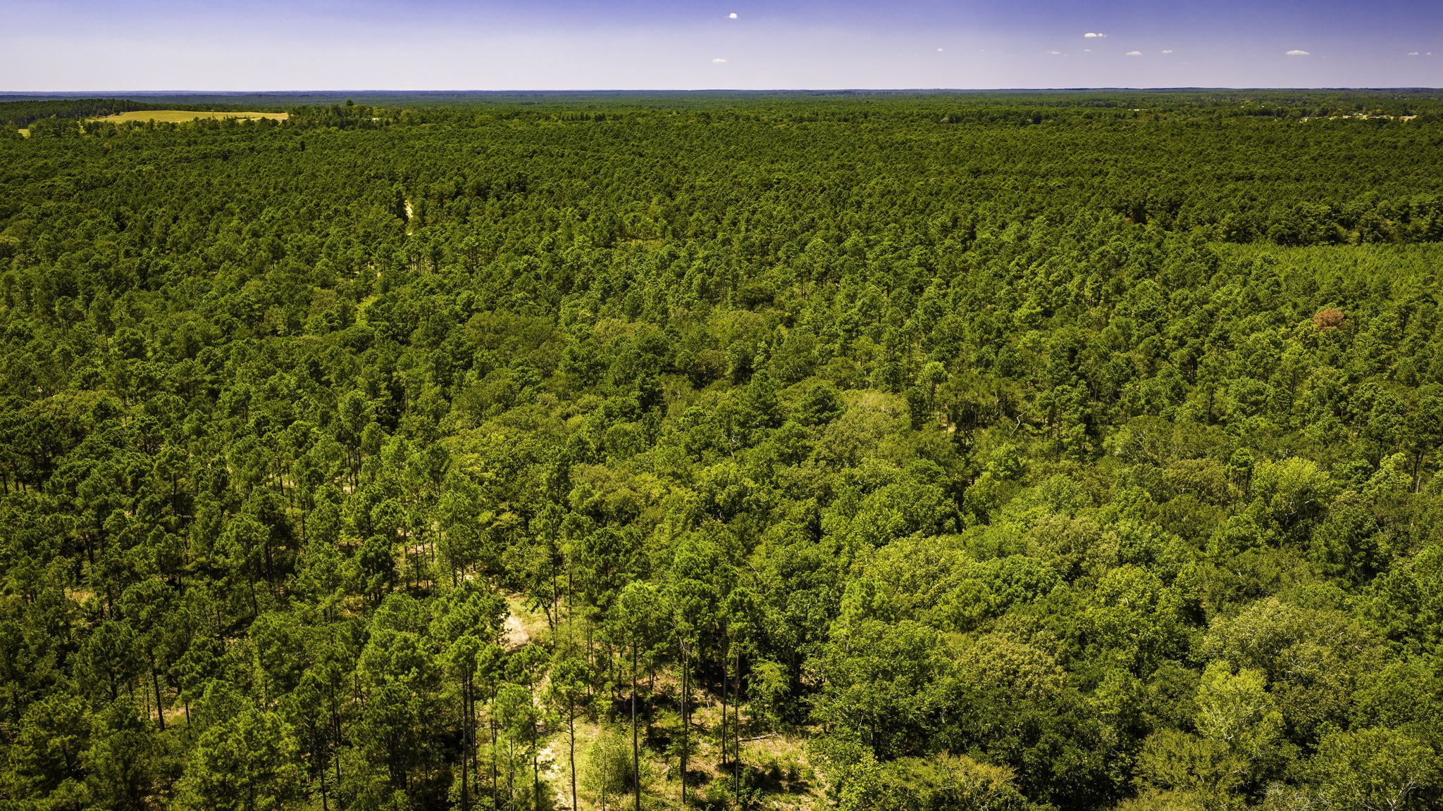 TBD E Lakeview Drive, Trinity, TX, 75862 | 56983132 | Realty Texas LLC
