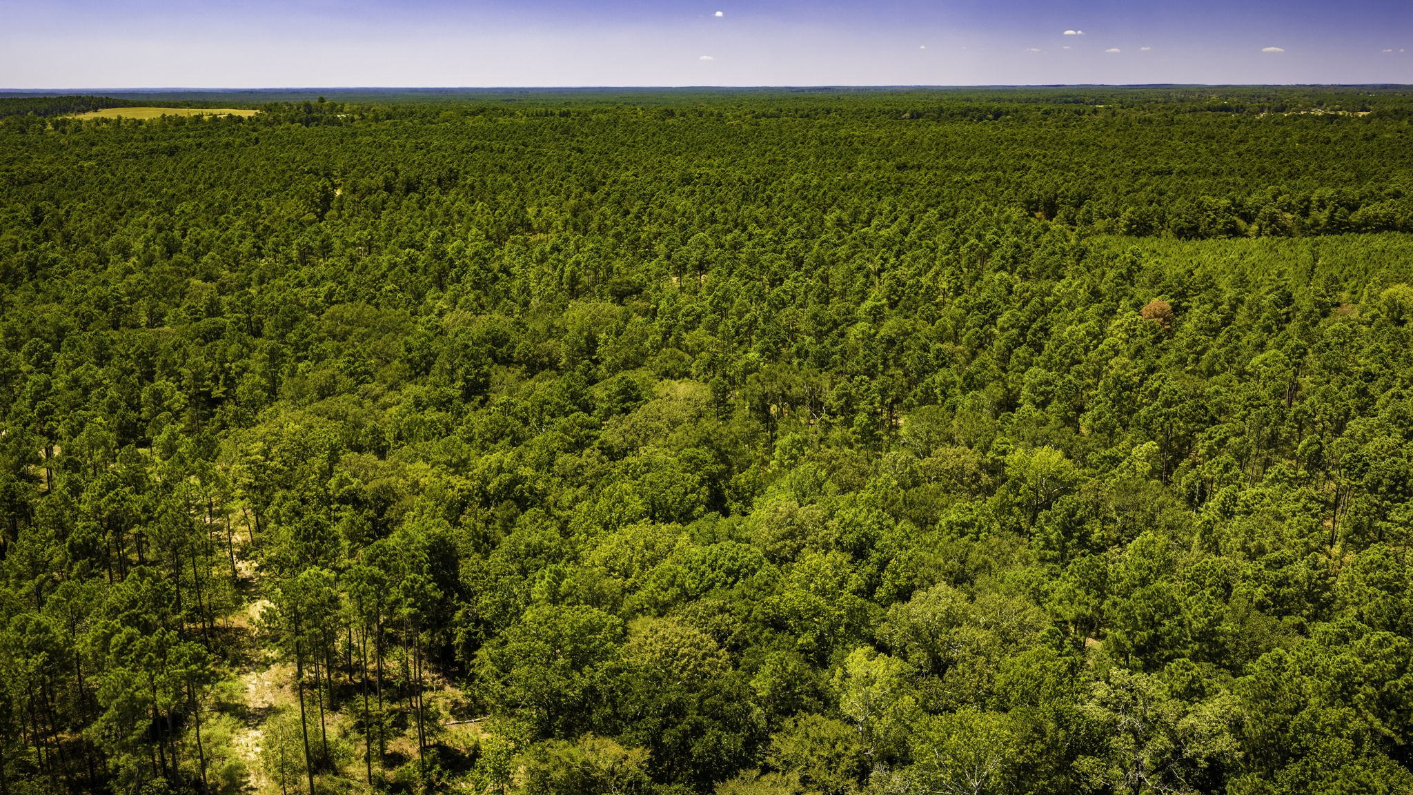 TBD E Lakeview Drive, Trinity, TX, 75862 | 56983132 | Realty Texas LLC