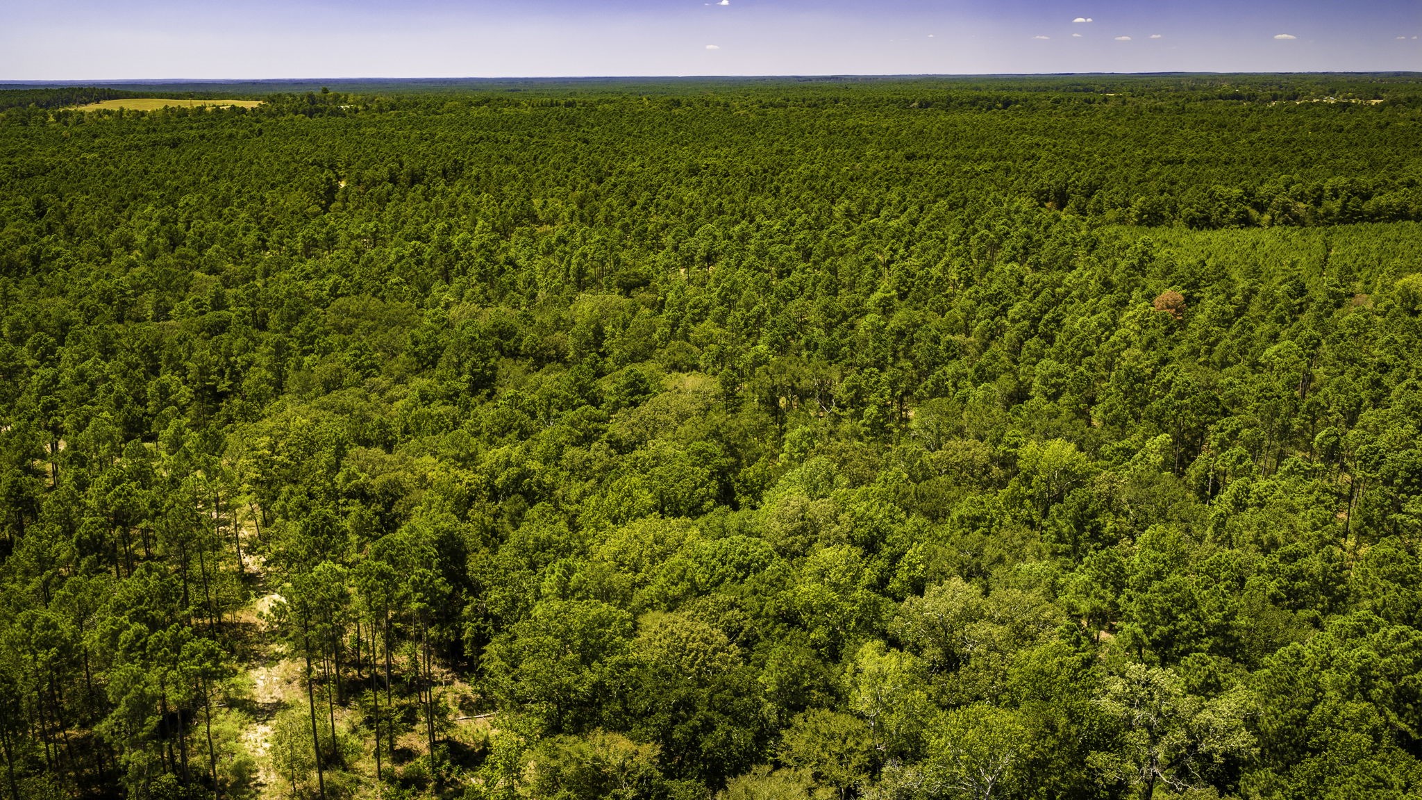 TBD E Lakeview Drive, Trinity, TX, 75862 | 56983132 | Realty Texas LLC