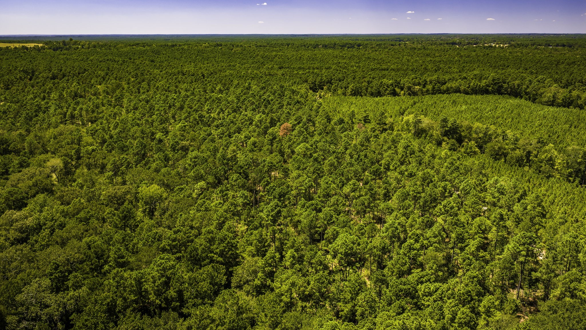 TBD E Lakeview Drive, Trinity, TX, 75862 | 56983132 | Realty Texas LLC