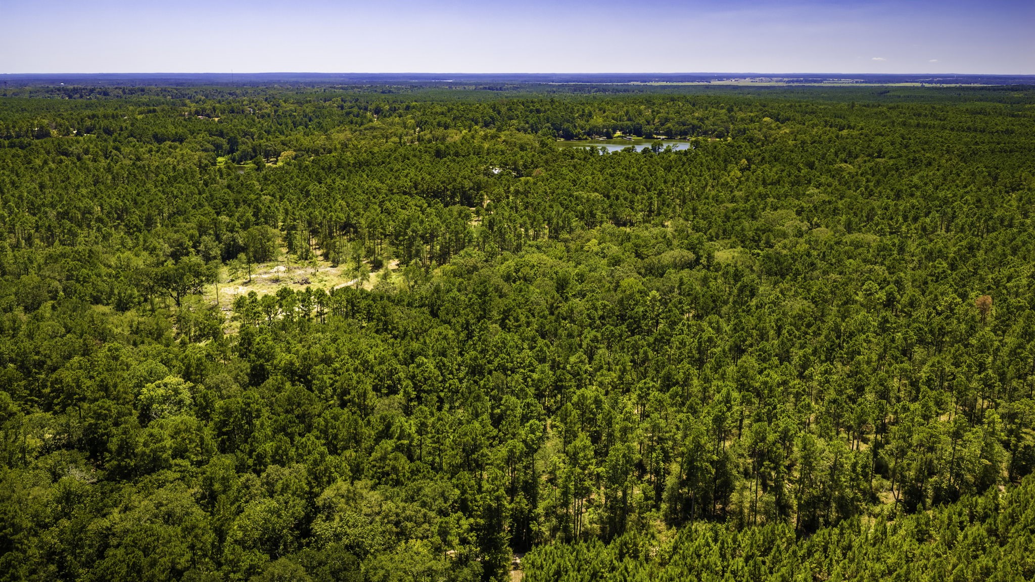 TBD E Lakeview Drive, Trinity, TX, 75862 | 56983132 | Realty Texas LLC