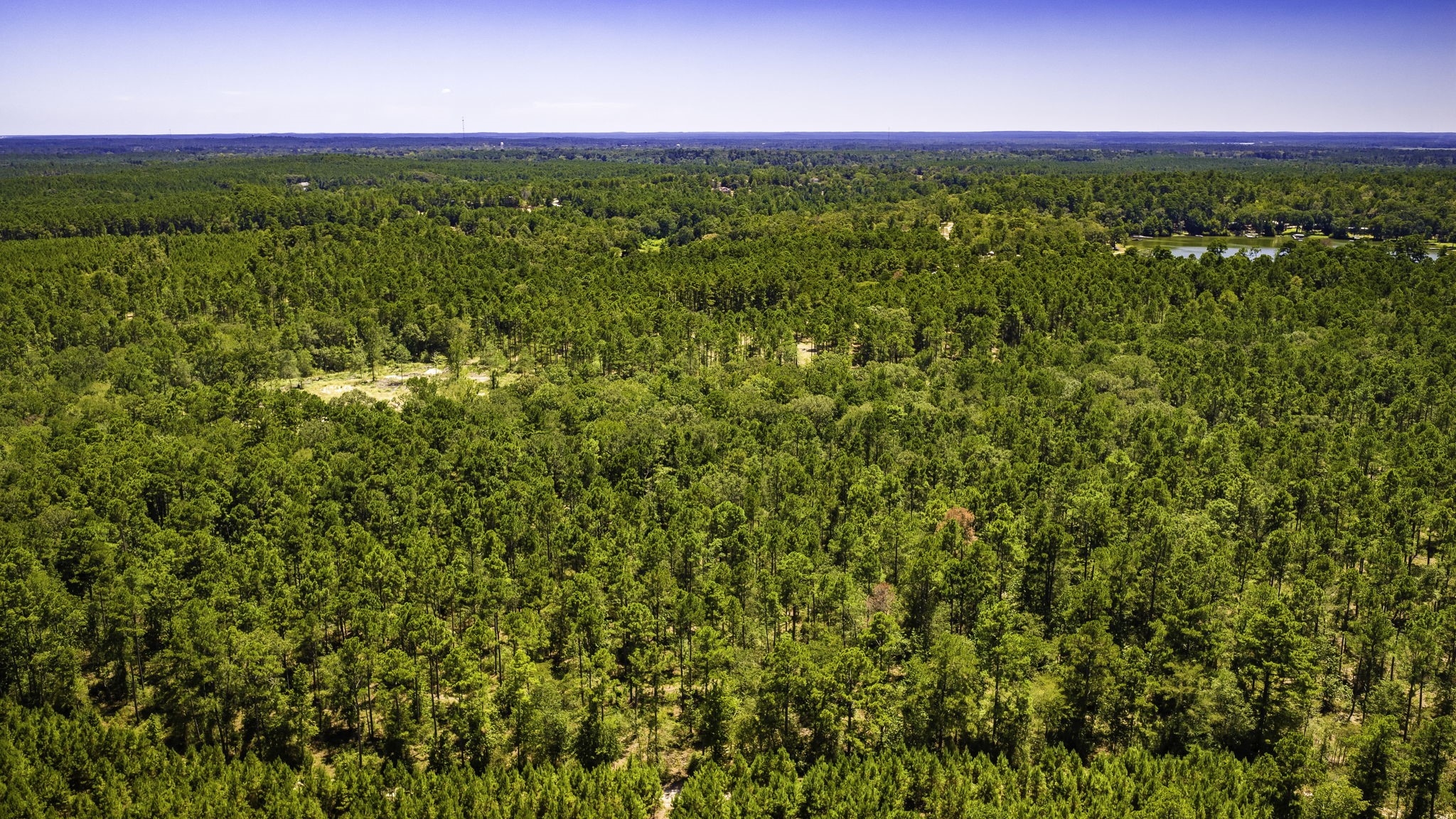 TBD E Lakeview Drive, Trinity, TX, 75862 | 56983132 | Realty Texas LLC