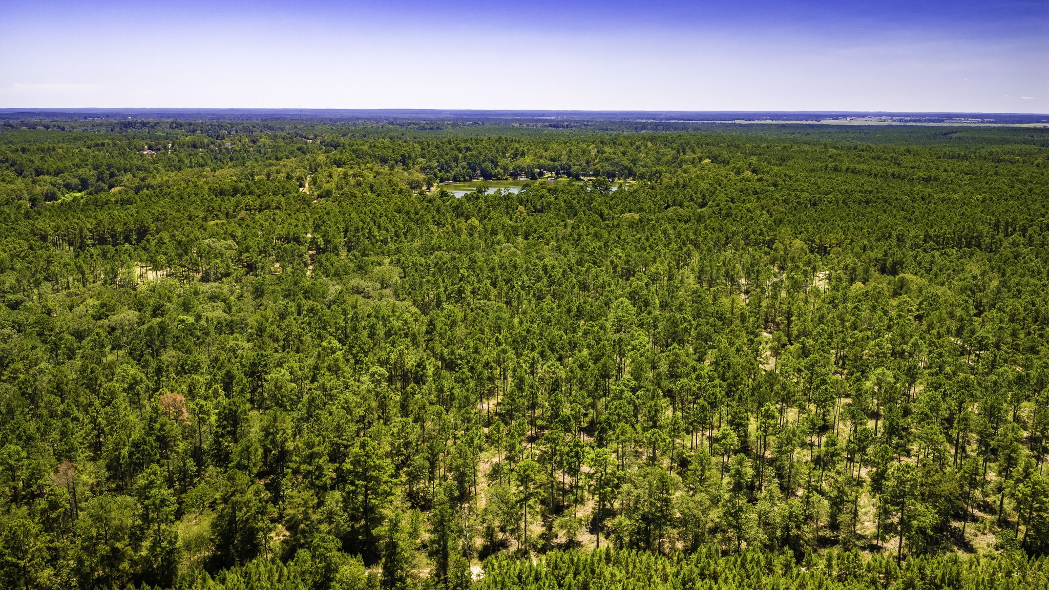 TBD E Lakeview Drive, Trinity, TX, 75862 | 56983132 | Realty Texas LLC