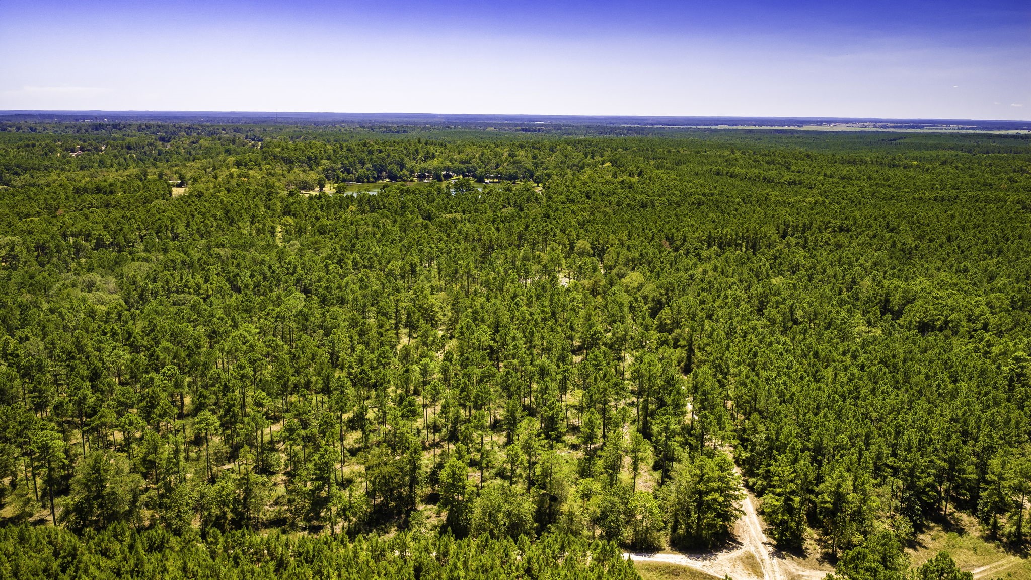 TBD E Lakeview Drive, Trinity, TX, 75862 | 56983132 | Realty Texas LLC