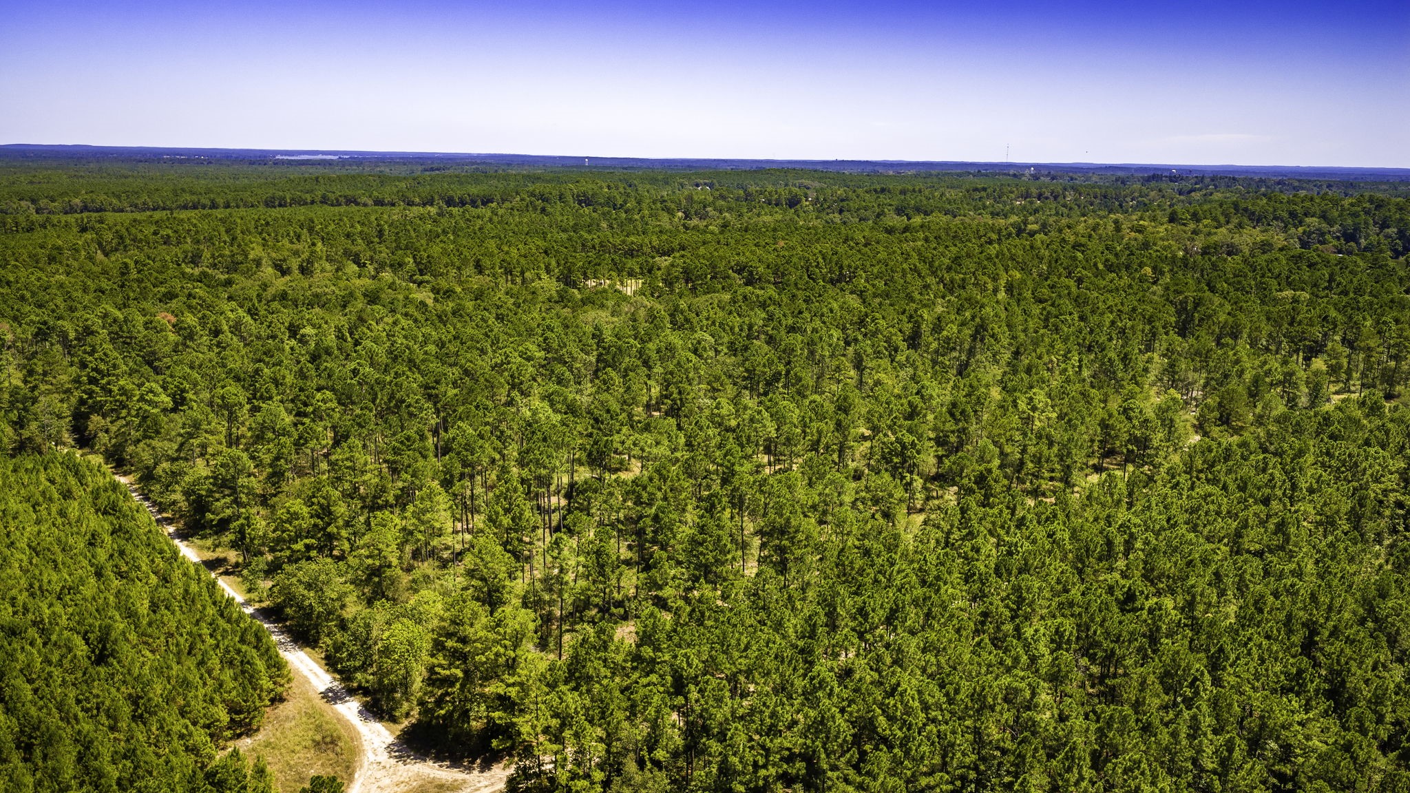 TBD E Lakeview Drive, Trinity, TX, 75862 | 56983132 | Realty Texas LLC