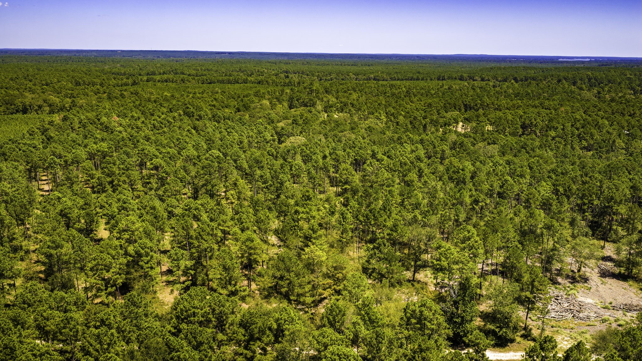 TBD E Lakeview Drive, Trinity, TX, 75862 | 56983132 | Realty Texas LLC