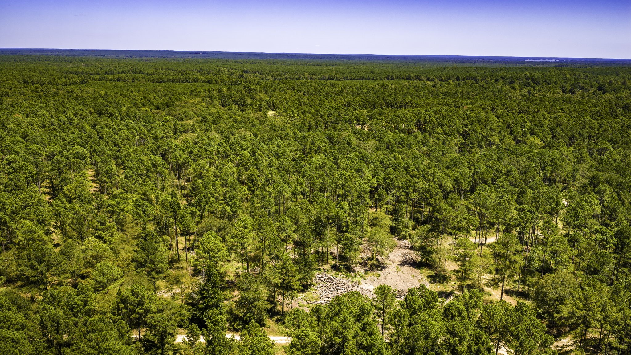 TBD E Lakeview Drive, Trinity, TX, 75862 | 56983132 | Realty Texas LLC