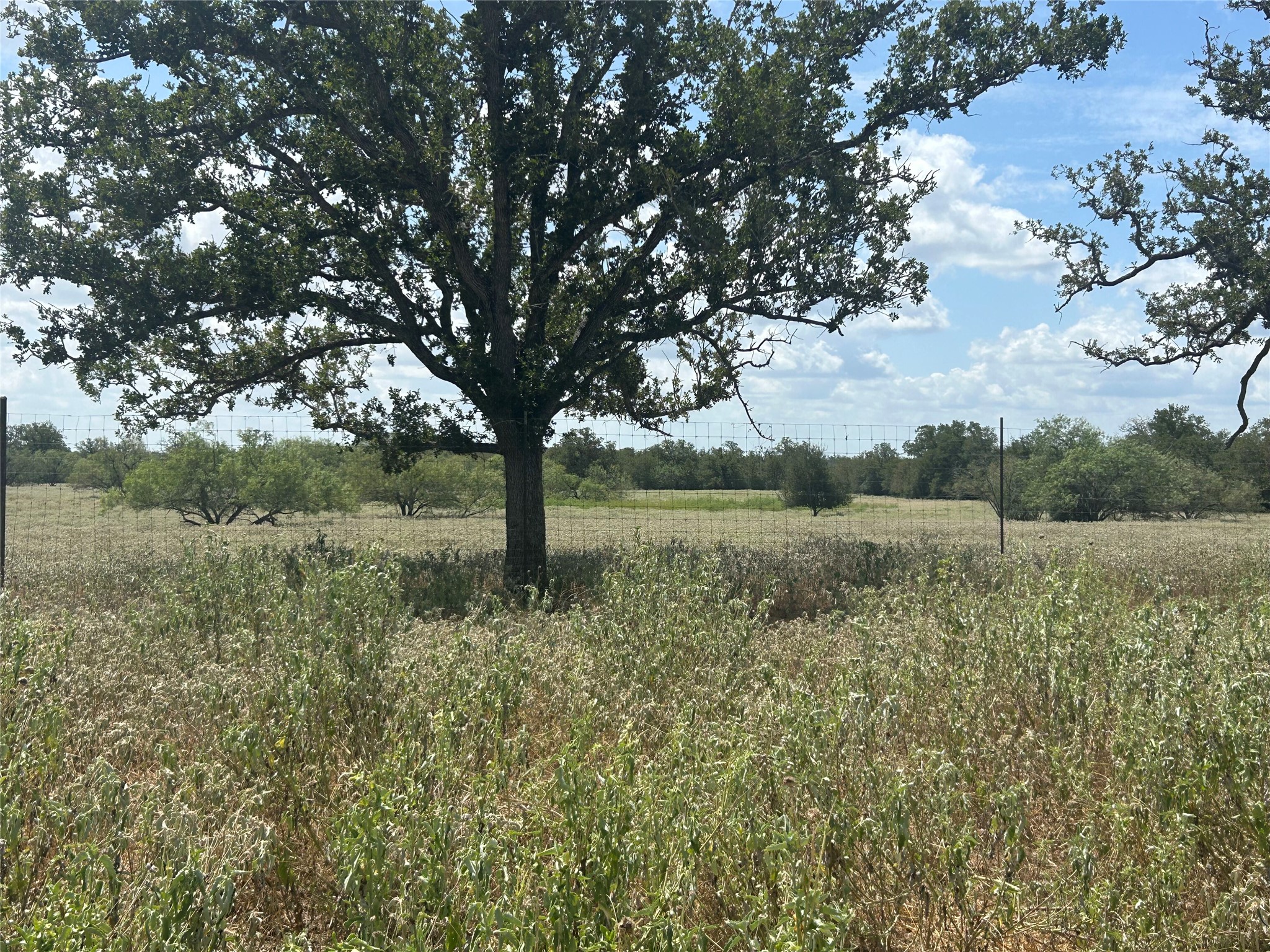 2238 Flash CIR, Luling, TX, 78648 | 1930138 | Realty Texas LLC