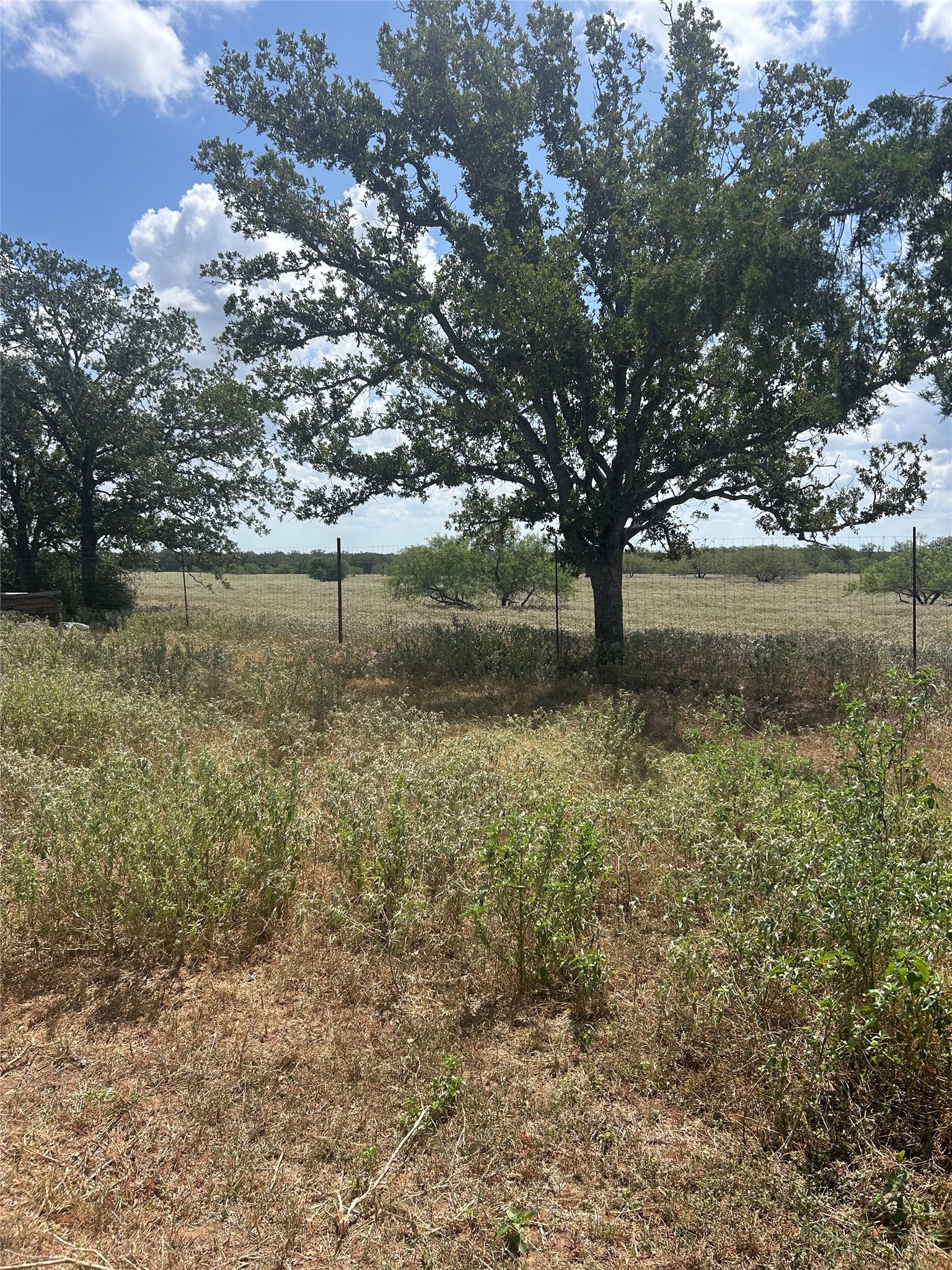 2238 Flash CIR, Luling, TX, 78648 | 1930138 | Realty Texas LLC