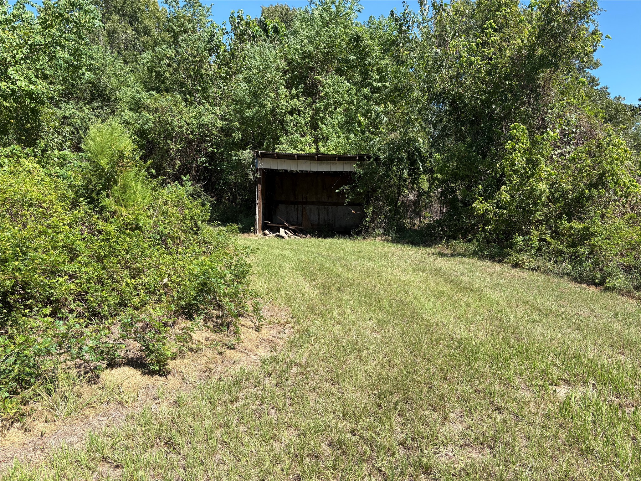 139 Tranquility Drive, Trinity, TX, 75862 | 45579642 | Realty Texas LLC