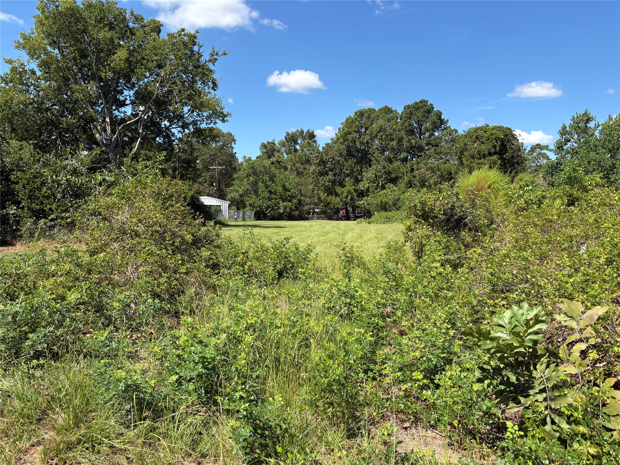 139 Tranquility Drive, Trinity, TX, 75862 | 45579642 | Realty Texas LLC