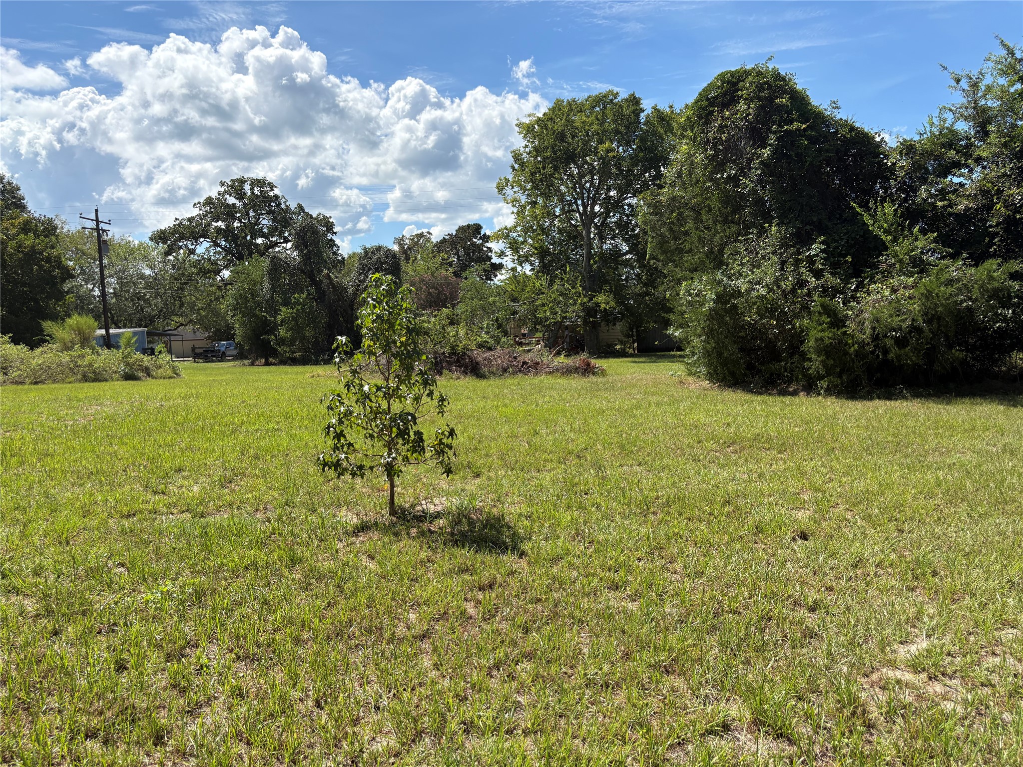 139 Tranquility Drive, Trinity, TX, 75862 | 45579642 | Realty Texas LLC