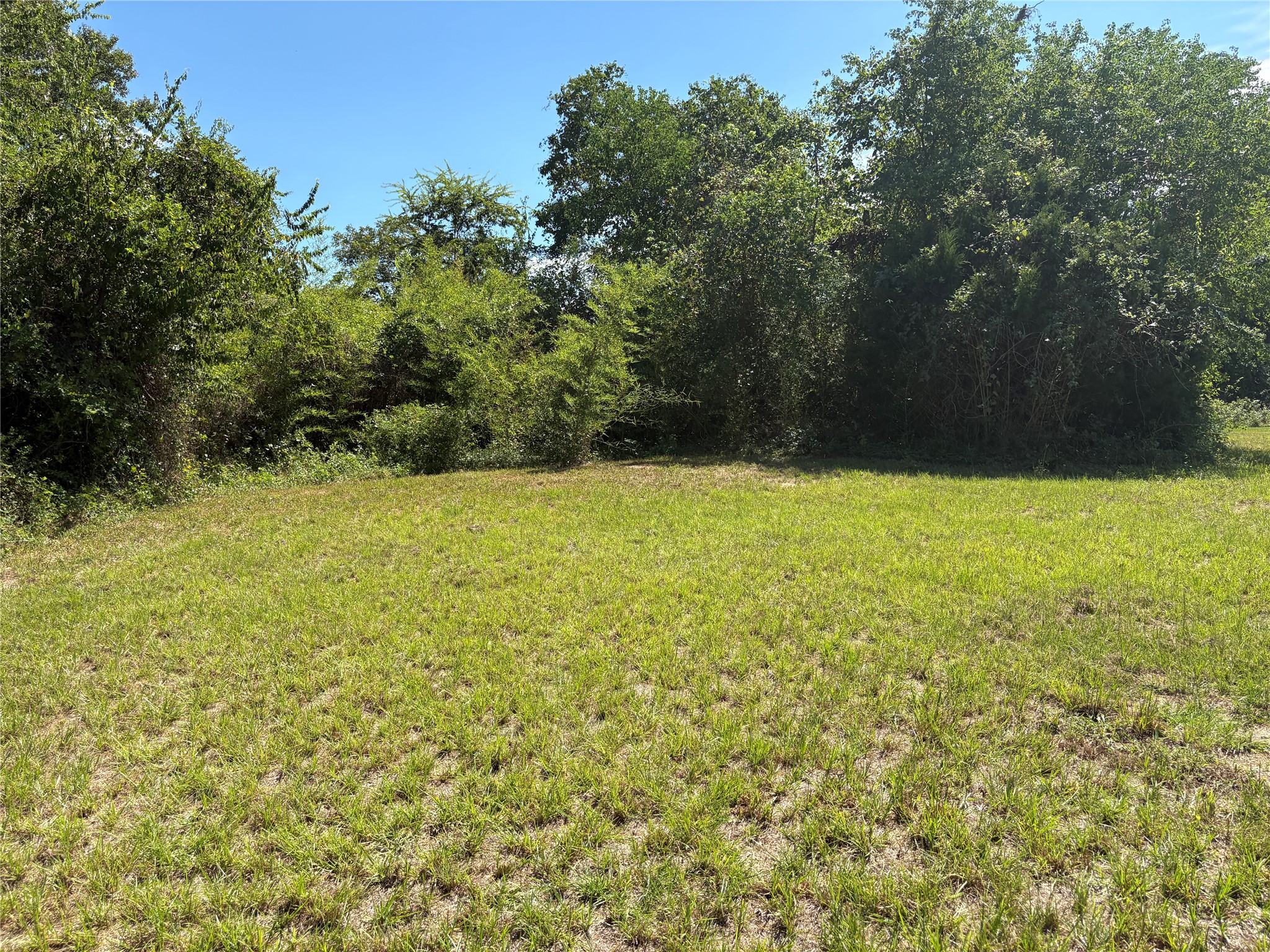 139 Tranquility Drive, Trinity, TX, 75862 | 45579642 | Realty Texas LLC