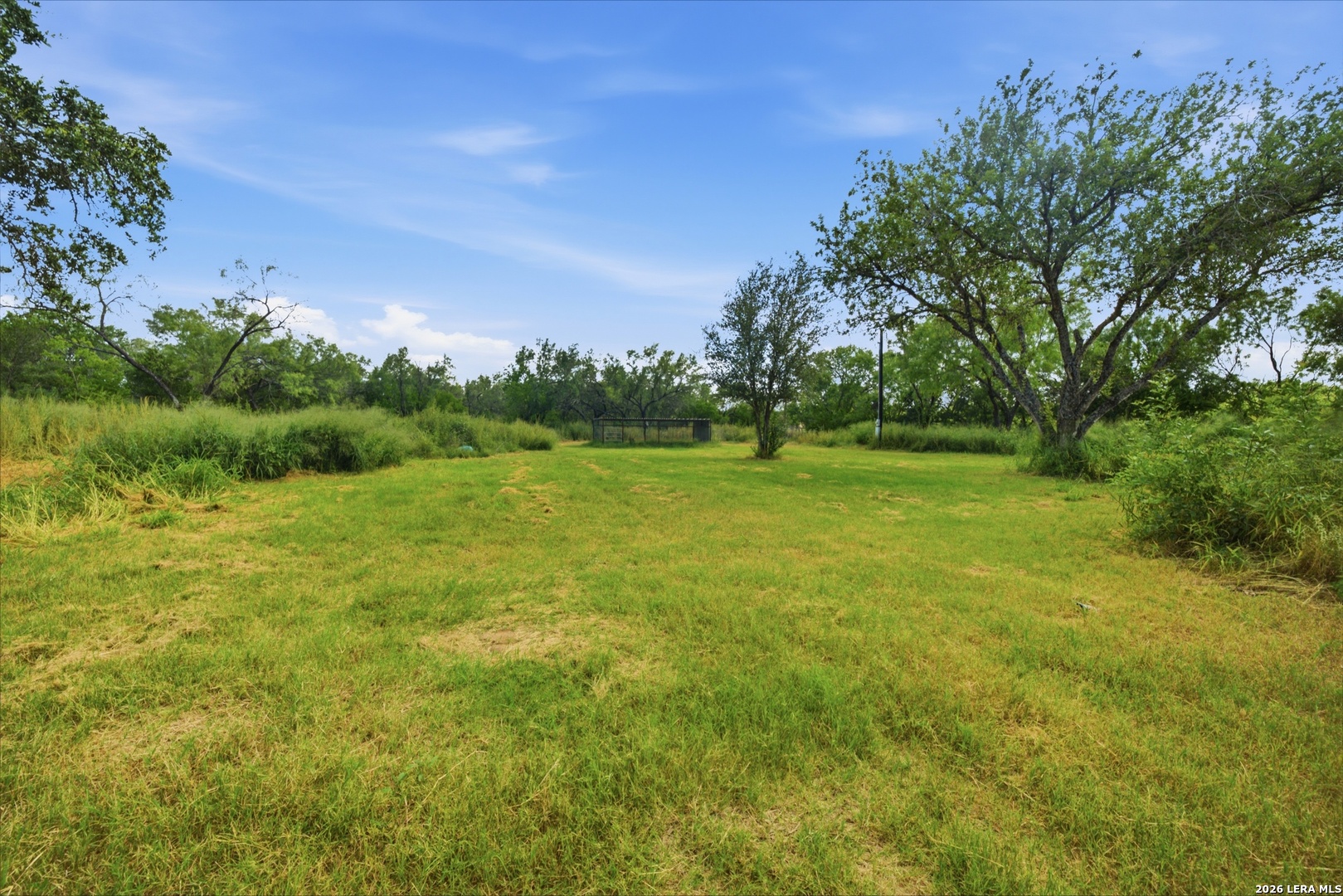 909 County Road 669, Devine, TX, 78016 | 1992859 | Realty Texas LLC