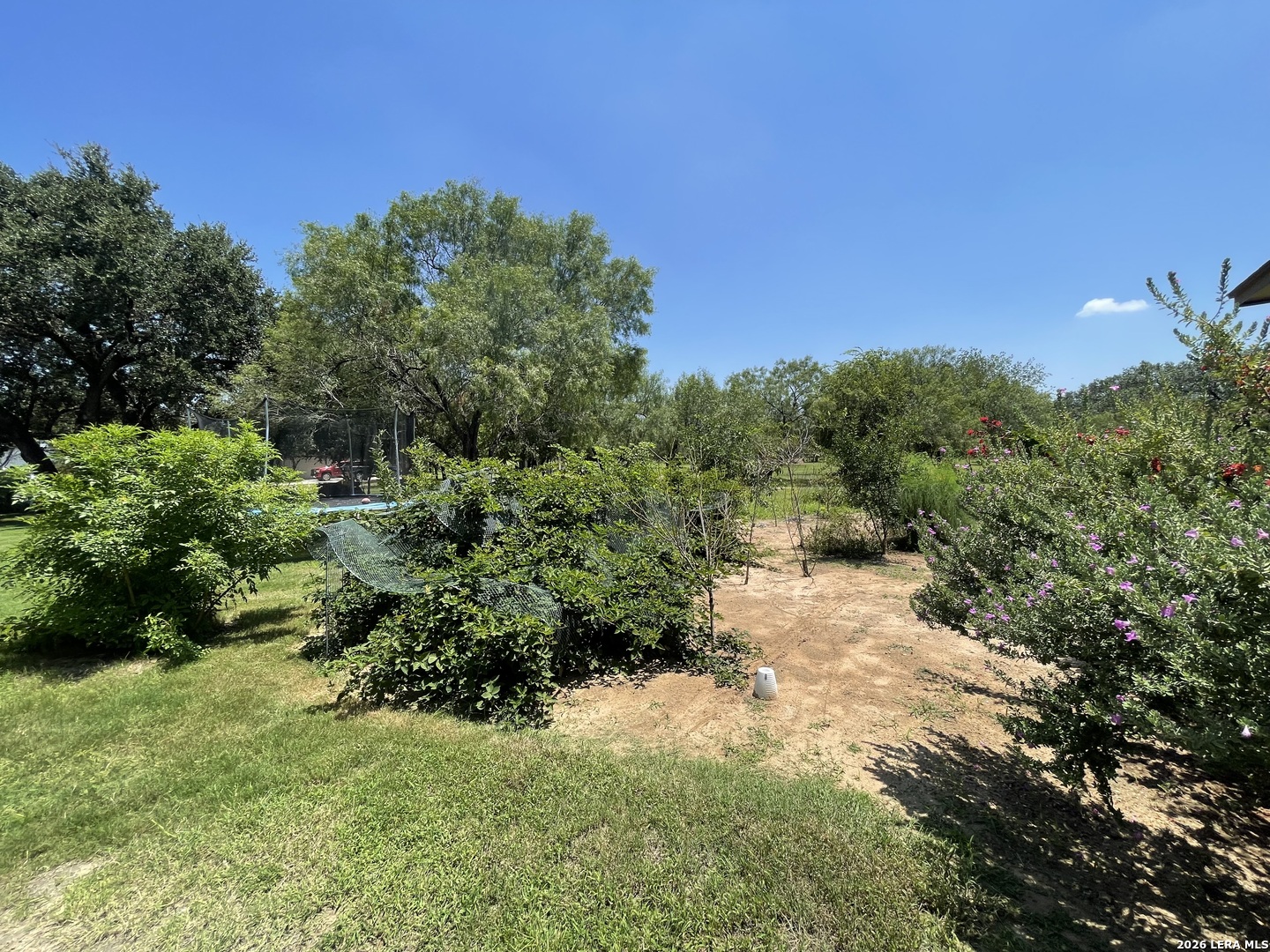 574 County Road 660, Devine, TX, 78016 | 2007154 | Realty Texas LLC