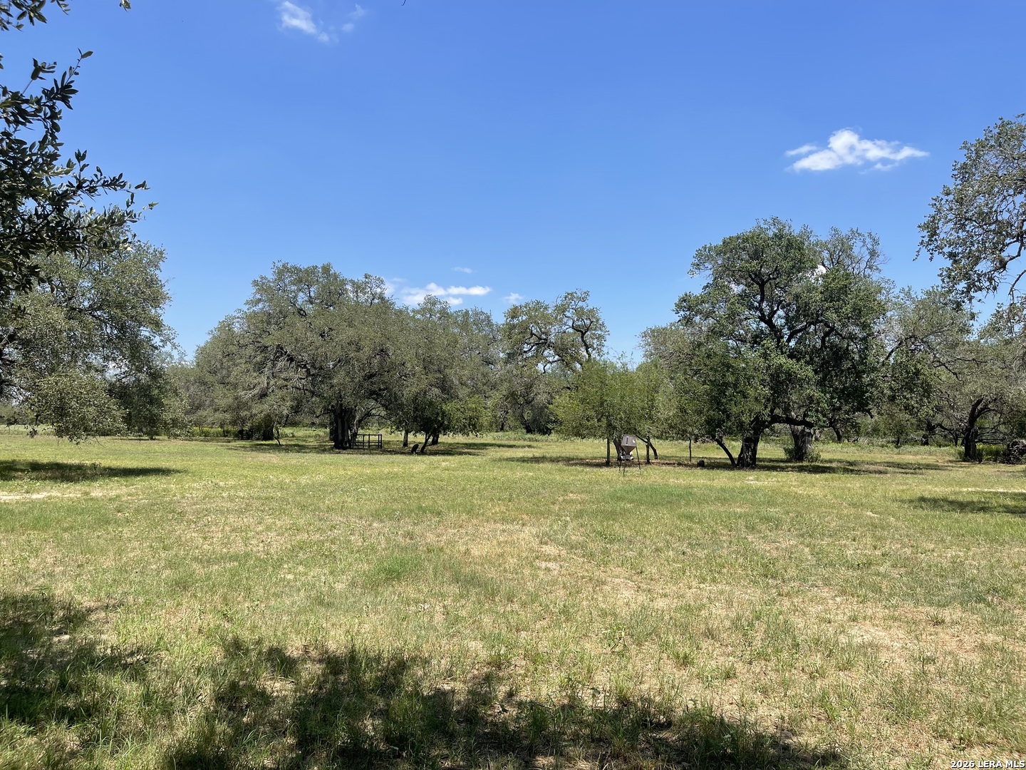574 County Road 660, Devine, TX, 78016 | 2007154 | Realty Texas LLC