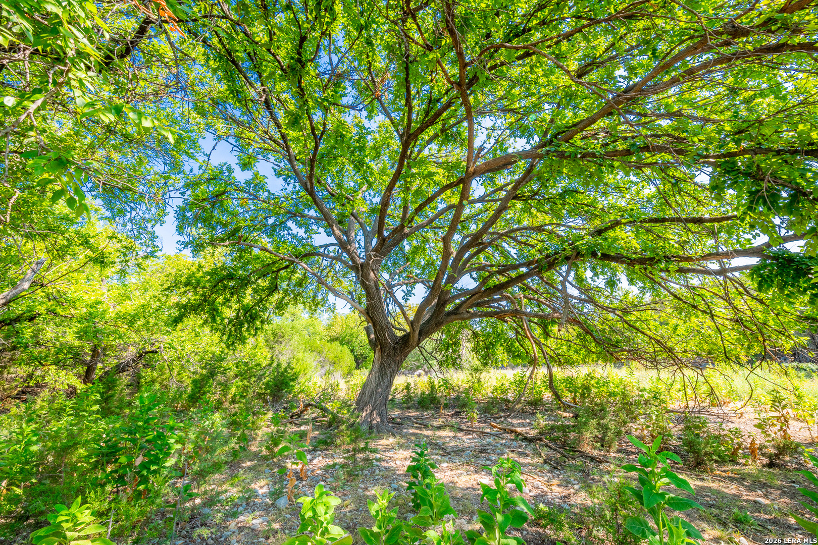 , Junction, TX, 76849 | 2005671 | Realty Texas LLC