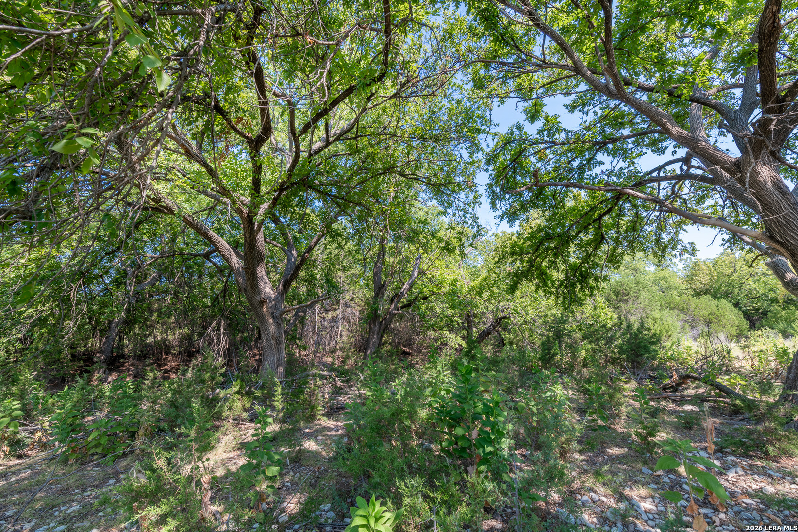 , Junction, TX, 76849 | 2005671 | Realty Texas LLC