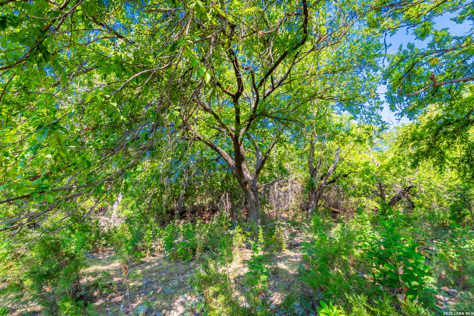 , Junction, TX, 76849 | 2005671 | Realty Texas LLC