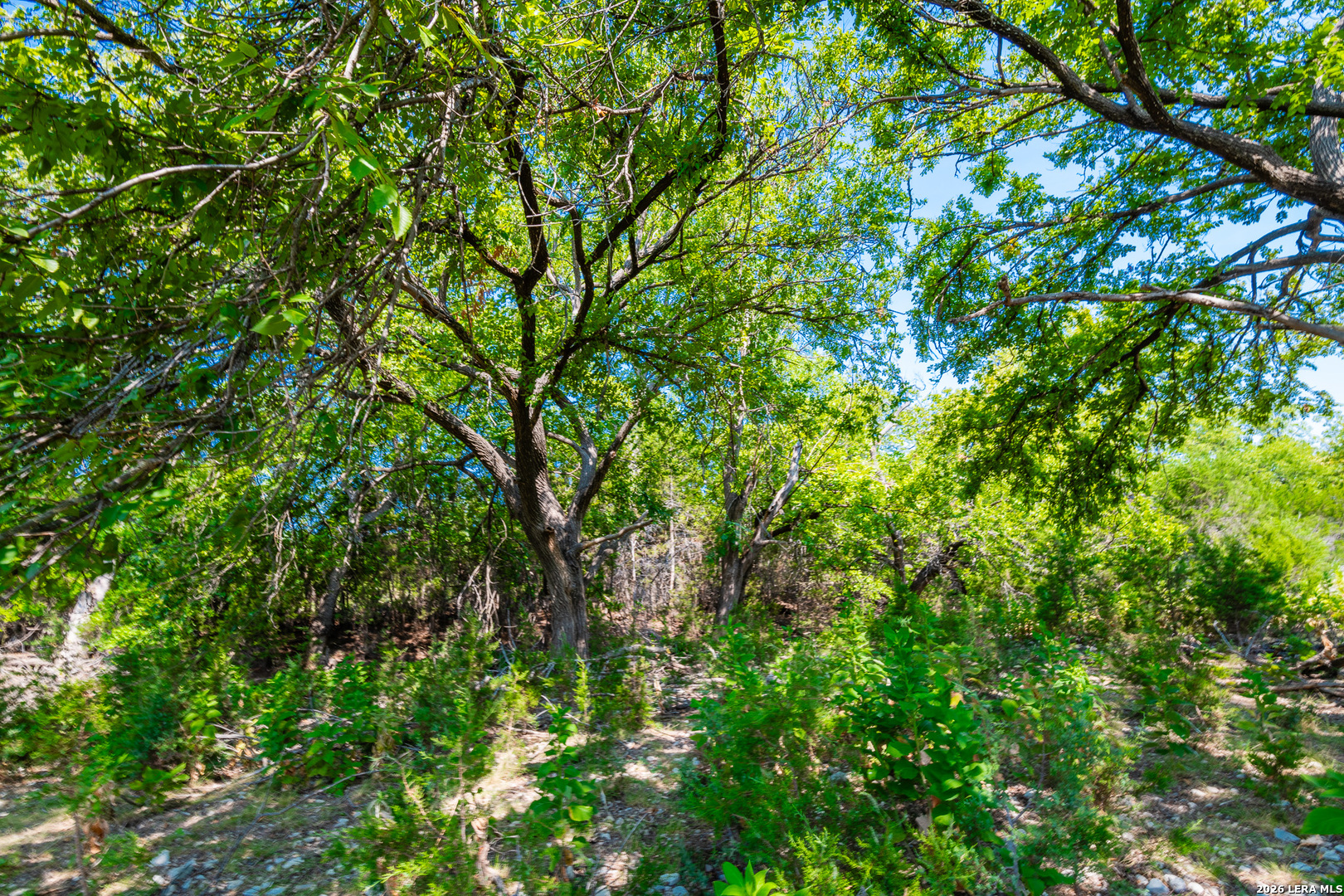 , Junction, TX, 76849 | 2005671 | Realty Texas LLC
