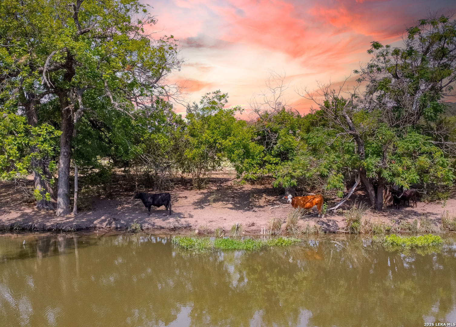 , Junction, TX, 76849 | 2005671 | Realty Texas LLC