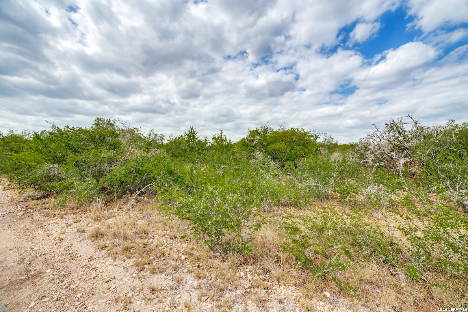 TRACT 3 County Road 652, Devine, TX, 78016 | 2019838 | Realty Texas LLC