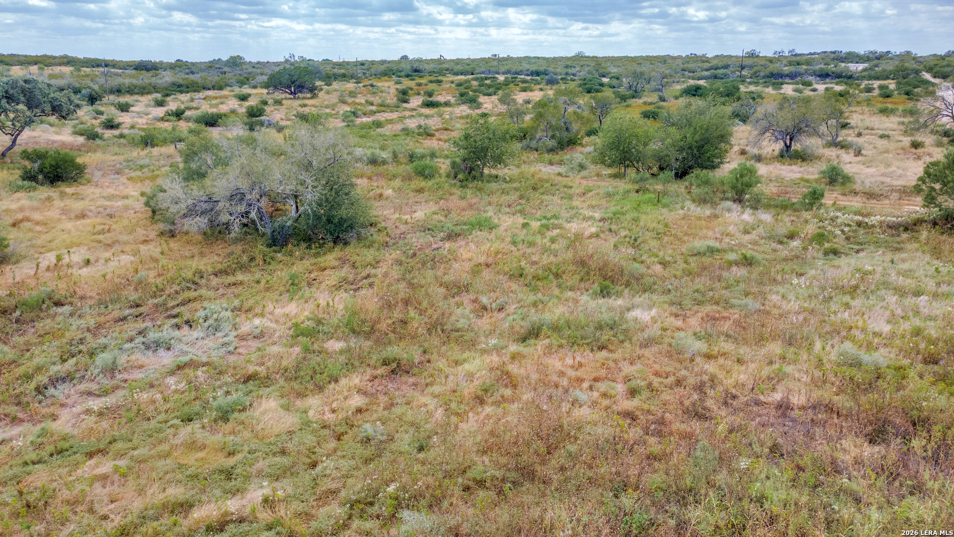 TRACT 3 County Road 652, Devine, TX, 78016 | 2019838 | Realty Texas LLC