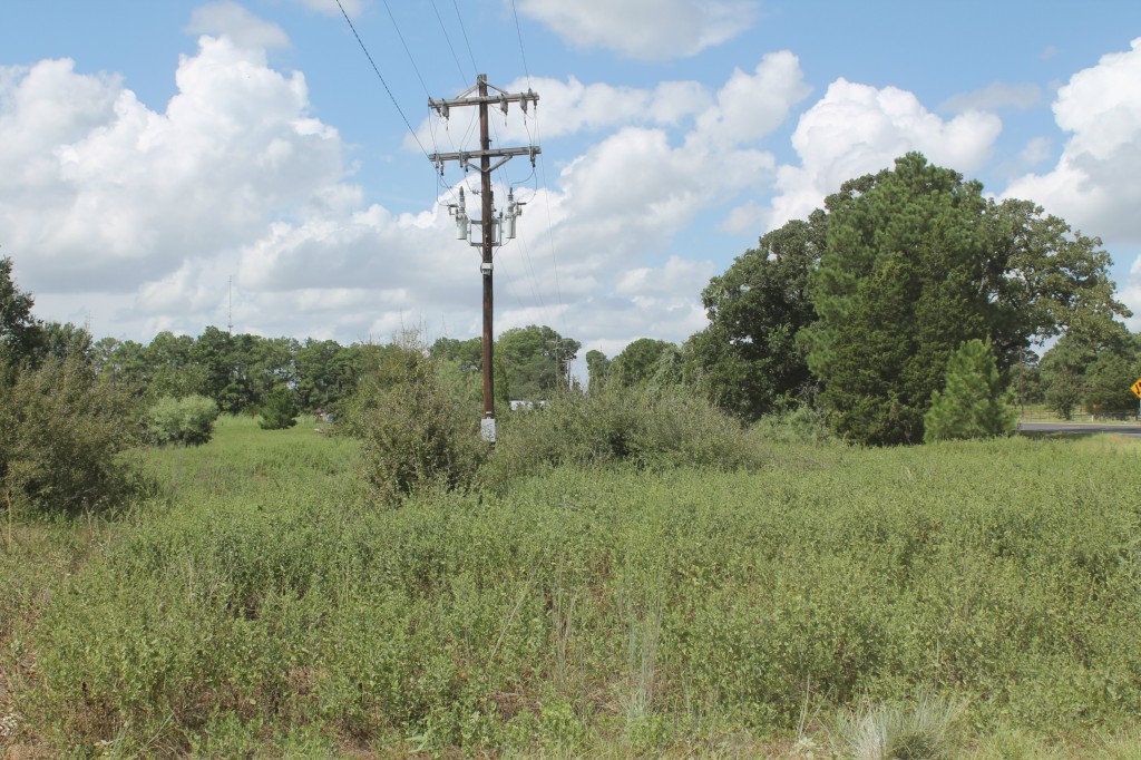 000 State Hwy 21 , Paige, TX, 78659 | 8302412 | Realty Texas LLC