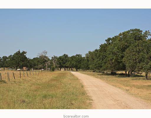 3100 HAUPT Road, College Station, TX, 77845 | 55230 | Realty Texas LLC