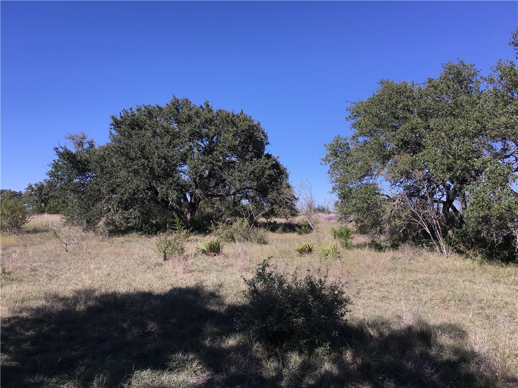 TBD Deer Trail, Spicewood, TX, 78669 | 1976461 | Realty Texas LLC