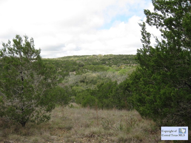 1150 Split Ridge Drive, Spring Branch, TX, 78070 | 219254 | Realty Texas LLC