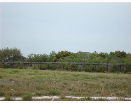 0 Joel Court , Corpus Christi, TX, 78418 | 97827 | Realty Texas LLC