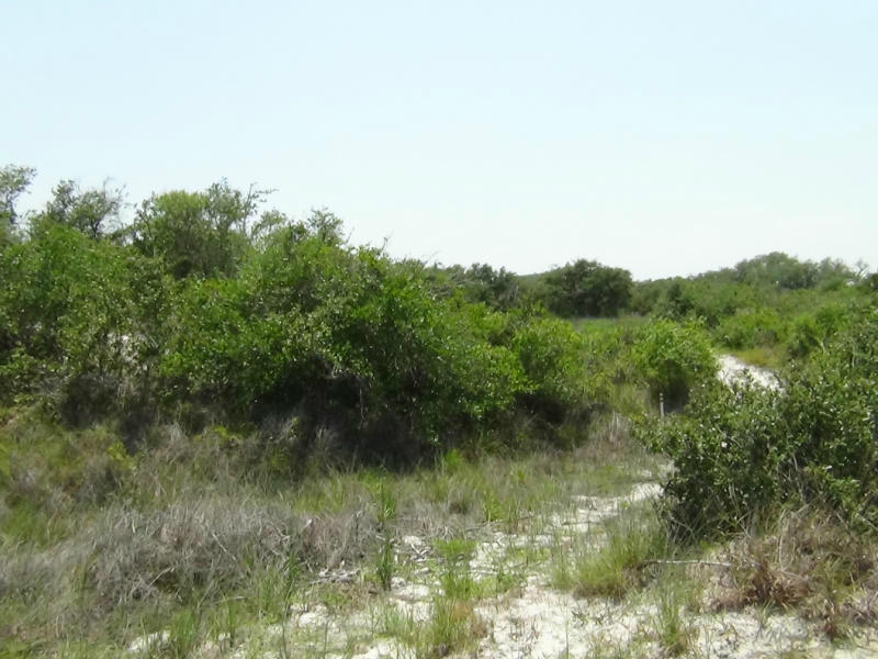 0 Myrtle , Aransas Pass, TX, 78336 | 216874 | Realty Texas LLC