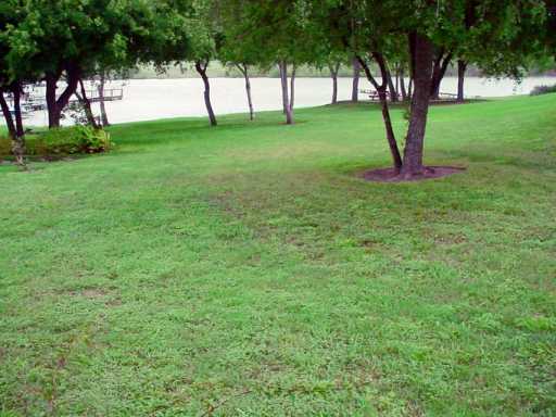0 Barbon Drive , Orange Grove, OT, 78372 | 23064 | Realty Texas LLC