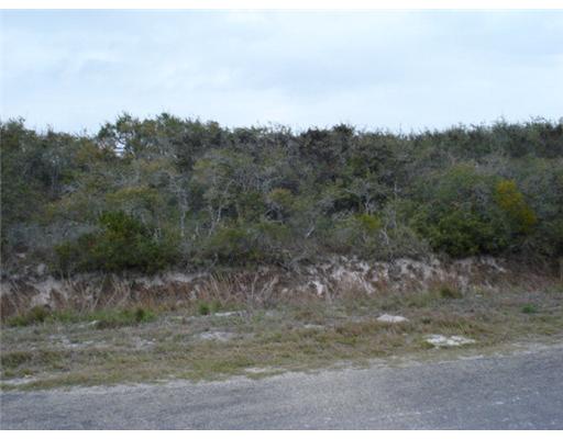 1403 HARDEE Street , Rockport, TX, 78382 | 108890 | Realty Texas LLC