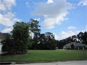 6511 Wilding Wimbledon Court , Spring, TX, 77379 | 40672108 | Realty Texas LLC