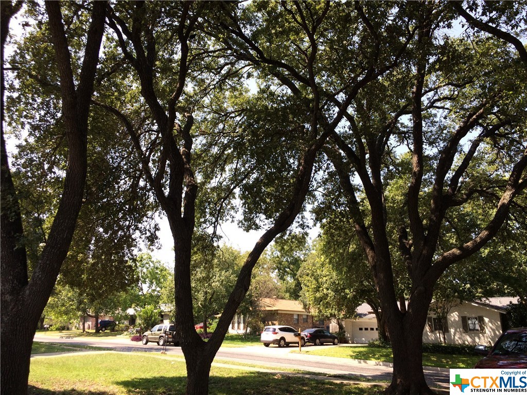 1006 Cerro Alto Drive , San Antonio, TX, 78213 | 323621 | Realty Texas LLC