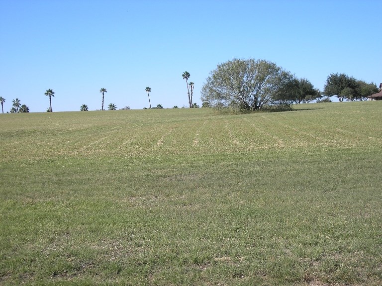 24485 La Ponderosa , Mathis, TX, 78368 | 320279 | Realty Texas LLC