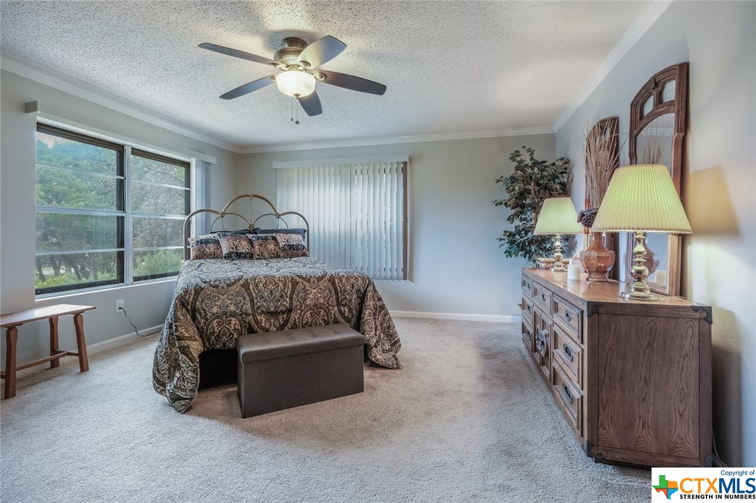 479 Bald Eagle , Canyon Lake, TX, 78133 | 342521 | Realty Texas LLC